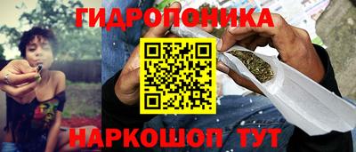 ГАЛЛЮЦИНОГЕННЫЕ ГРИБЫ Ипатово