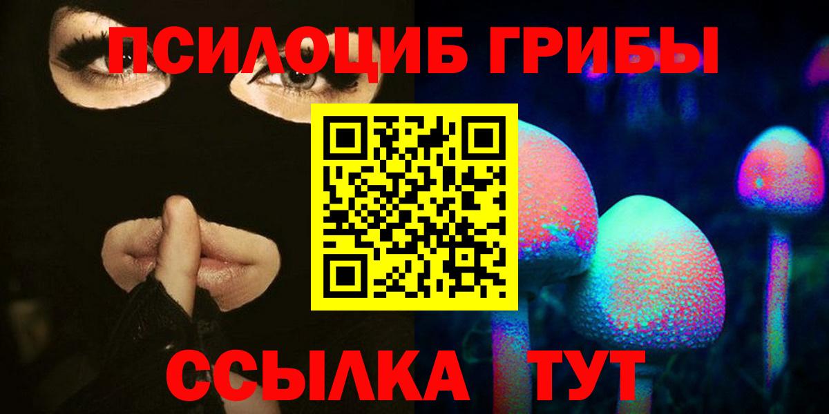 Псилоцибиновые грибы Psilocybine cubensis  Псилоцибиновые грибы мицелий  Вход с VPN  Буйнакск 