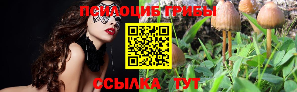 Галлюциногенные грибы мухоморы Буйнакск